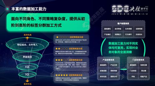 神策數據榮登Forrester 2024年Q1亞太區CDP格局報告，彰顯數據處理服務卓越實力