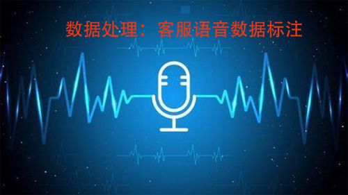 智能客服的基石 解析數據處理服務中的語音數據標注